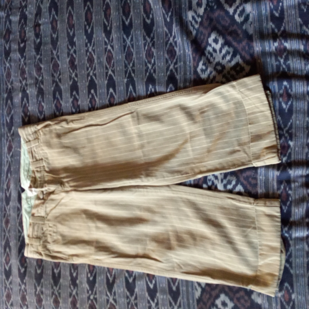 AMERICAN Eagle pin striped crop pants
